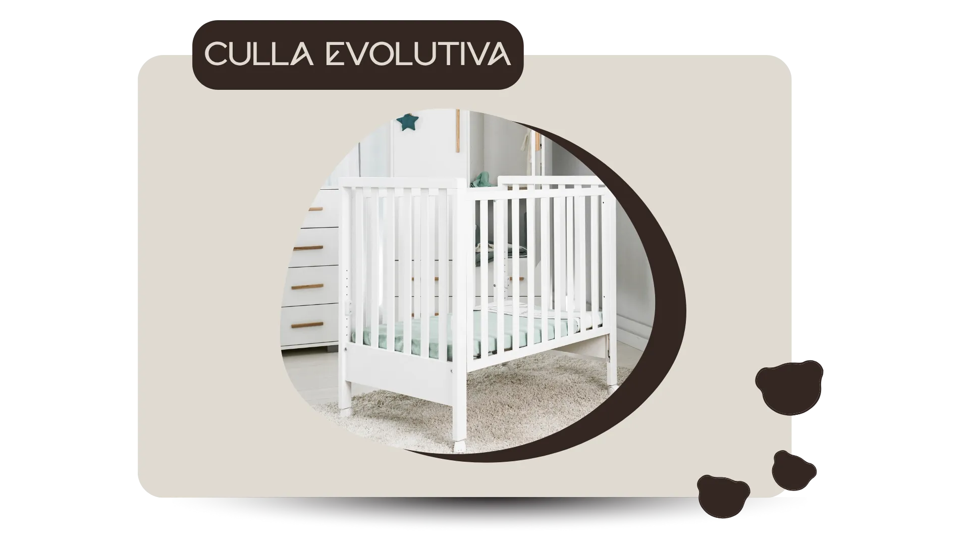 Culla evolutiva